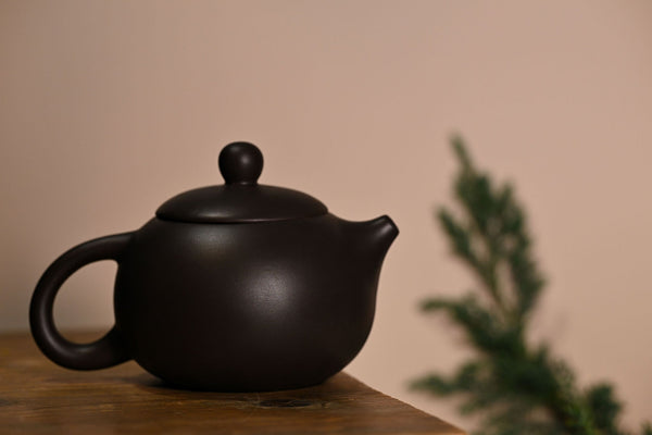 Suzu Teapot Steam Ritual‘s